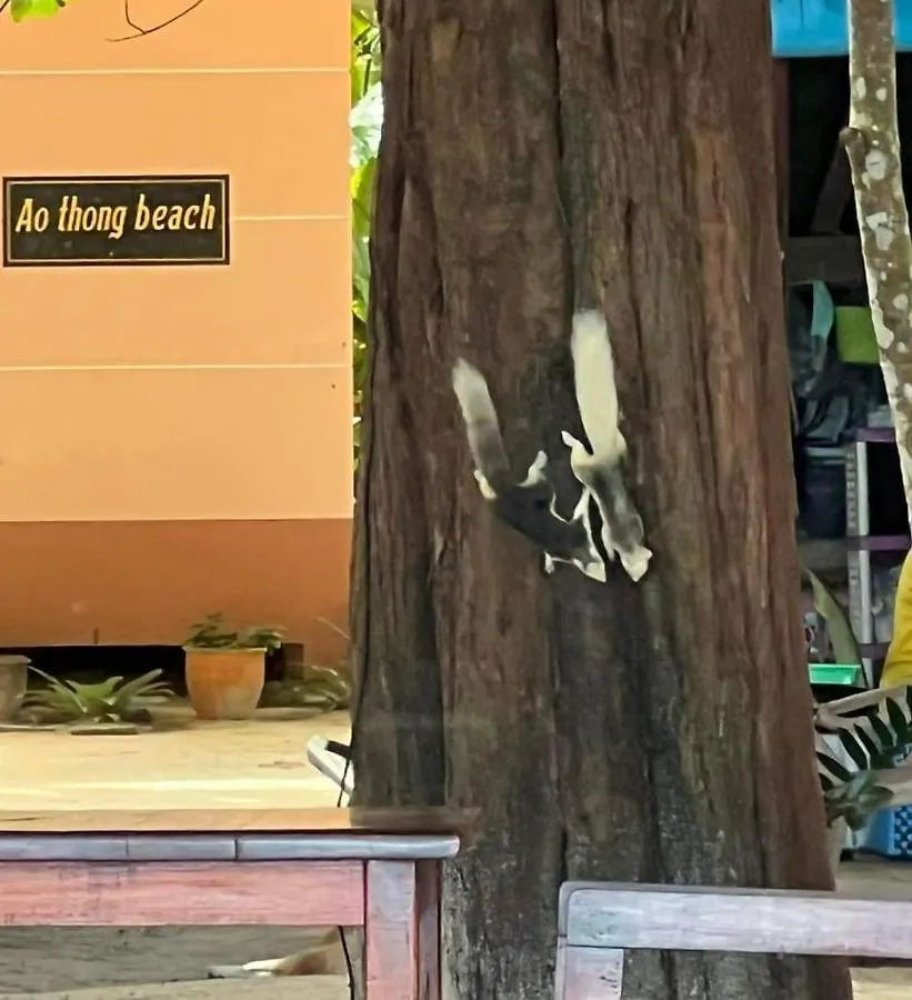 Ao Thong Beach Resort Bang Sak